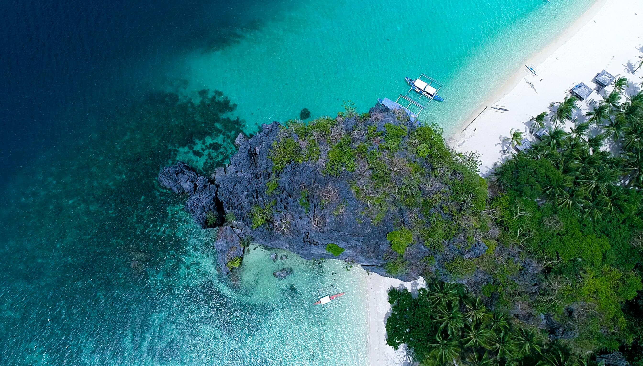 🇵🇭 Palawan & Bohol